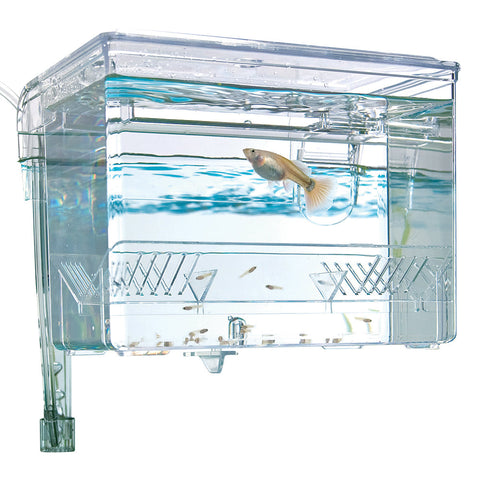 Fluval Hang-On Breeding Box - 0.3gal