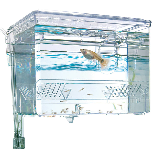 Fluval Hang-On Breeding Box - 0.3gal