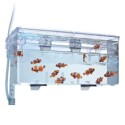 Fluval Hang-On Breeding Box - 0.5gal