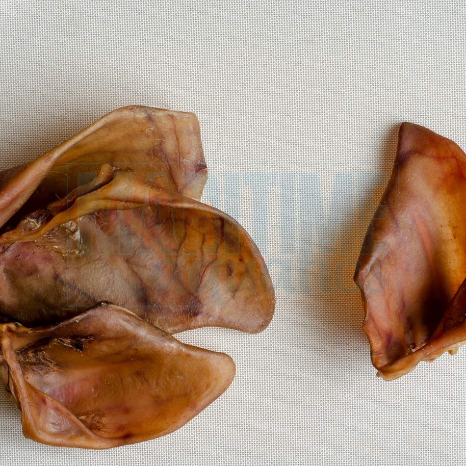 Dog Bites© Pig Ears