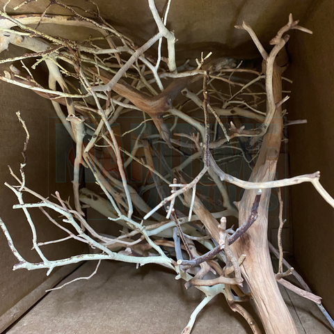 Manzanita Wood - up to 12"