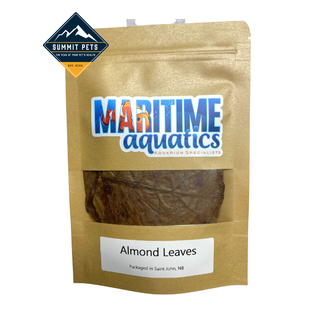 Maritime Aquatics Almond Leaves - 25pk