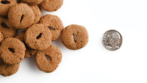 Fromm Crunchy O's Dog Treats